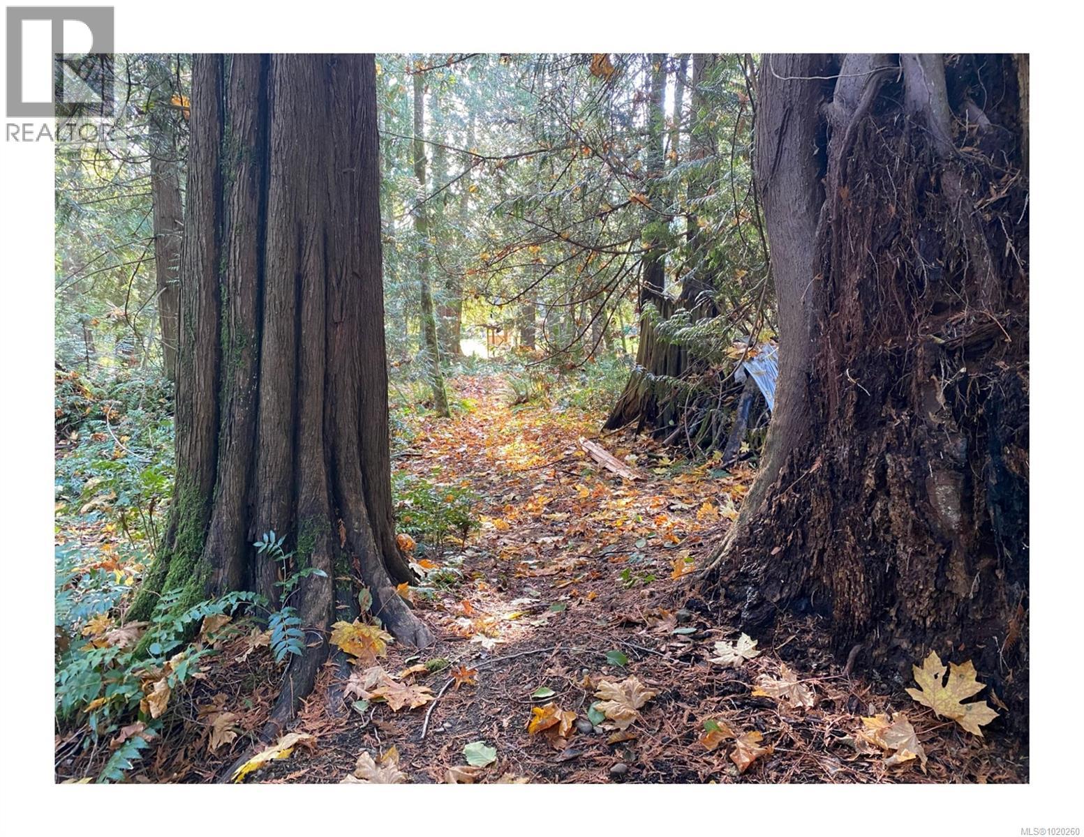 1007 Cedarwood Pl, Cobble Hill, British Columbia  V8H 0G8 - Photo 27 - 1020260