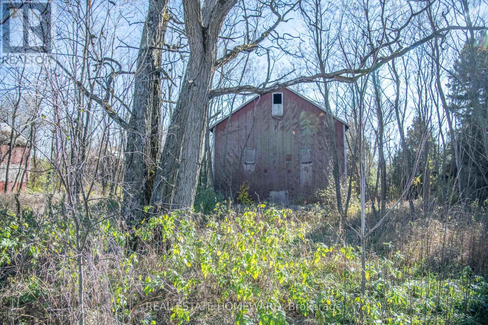 7257 Soper Road, Clarington, Ontario  L0A 1E0 - Photo 12 - E12535474