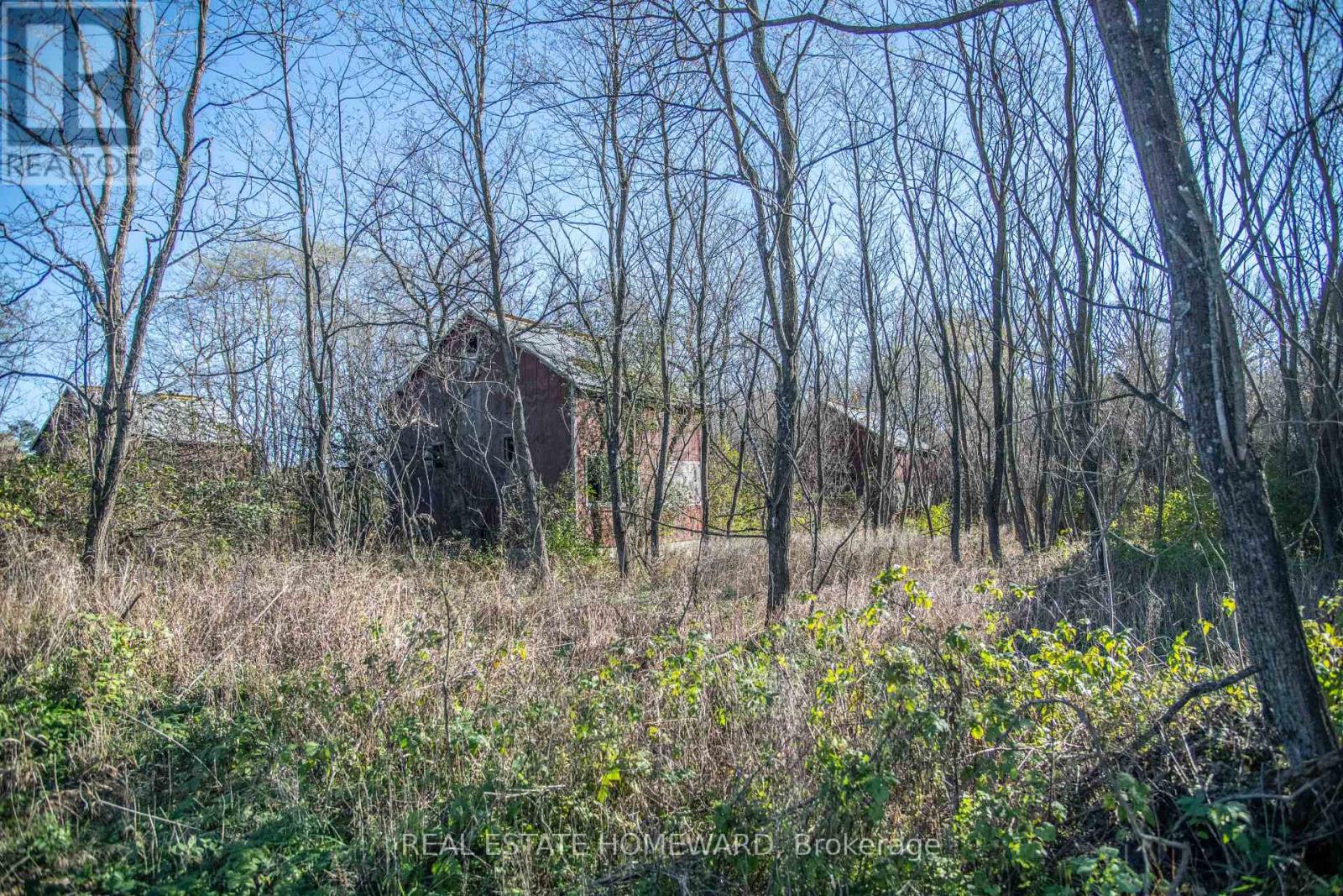 7257 Soper Road, Clarington, Ontario  L0A 1E0 - Photo 13 - E12535474