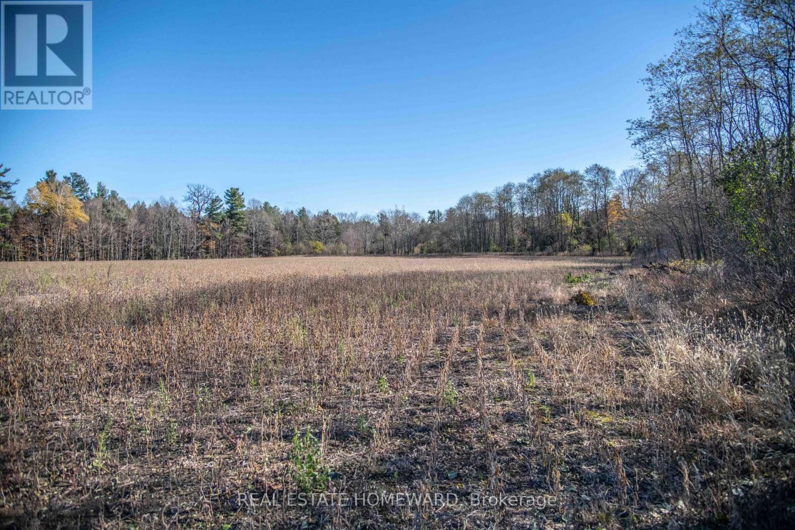 7257 Soper Road, Clarington, Ontario  L0A 1E0 - Photo 18 - E12535474