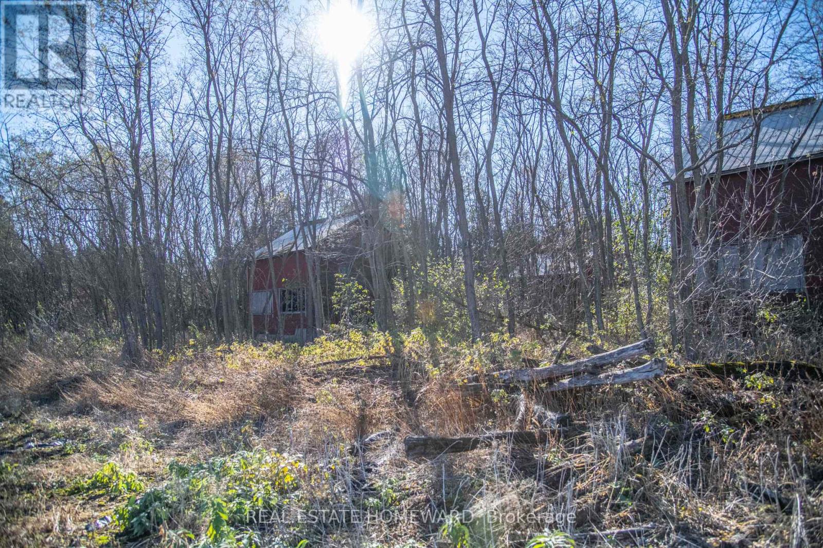 7257 Soper Road, Clarington, Ontario  L0A 1E0 - Photo 19 - E12535474