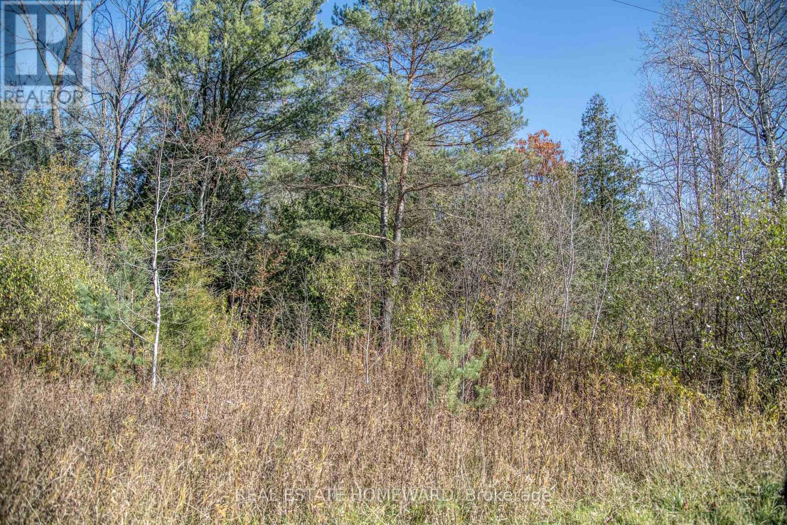 7257 Soper Road, Clarington, Ontario  L0A 1E0 - Photo 41 - E12535474