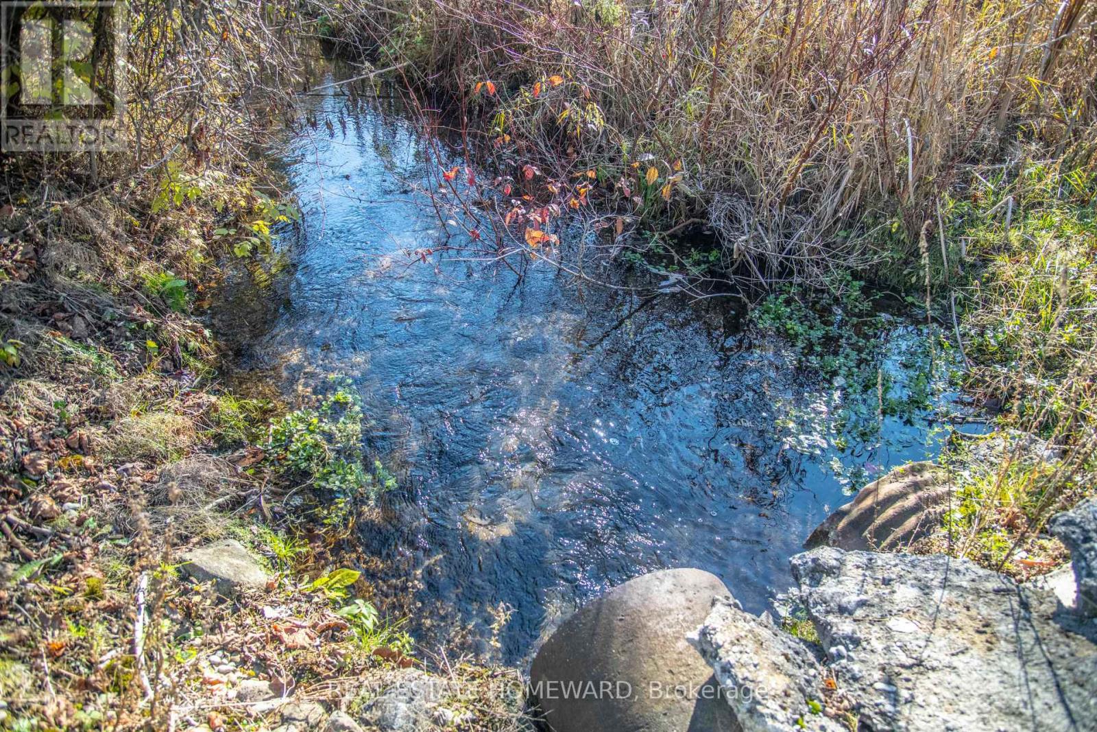 7257 Soper Road, Clarington, Ontario  L0A 1E0 - Photo 6 - E12535474