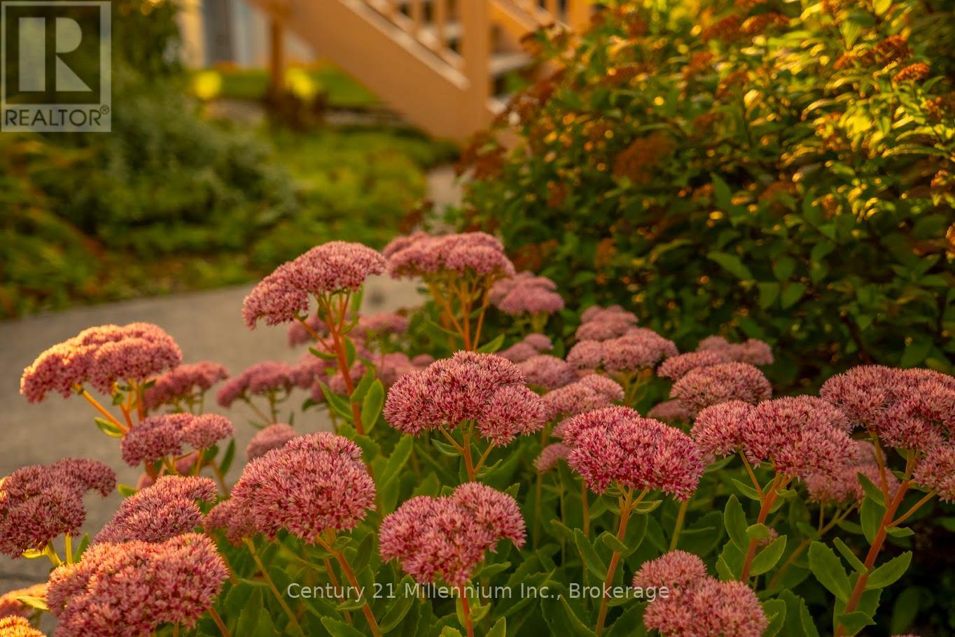 130 Pioneer Lane, Blue Mountains, Ontario  L9Y 0M7 - Photo 37 - X12516094