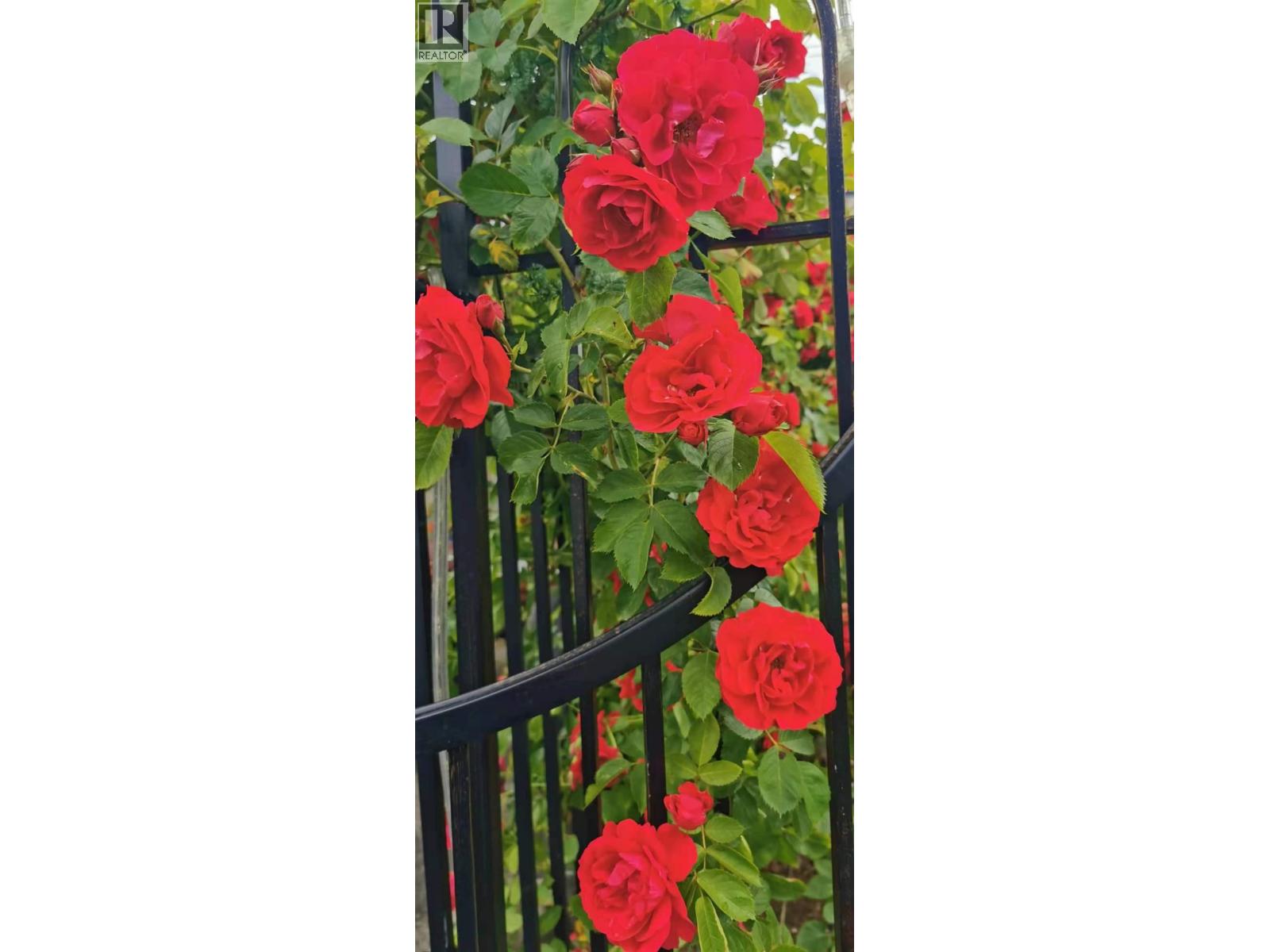 6593 Lochdale Street, Burnaby, British Columbia V5B 2M7 - Photo 5 - R3039718