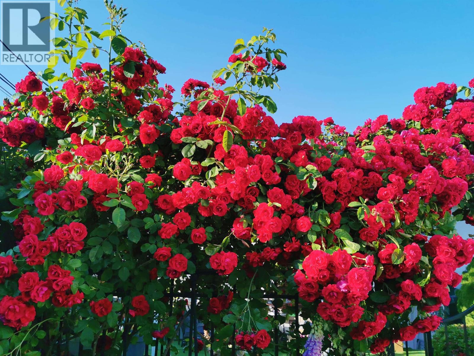 6593 Lochdale Street, Burnaby, British Columbia V5B 2M7 - Photo 2 - R3039718