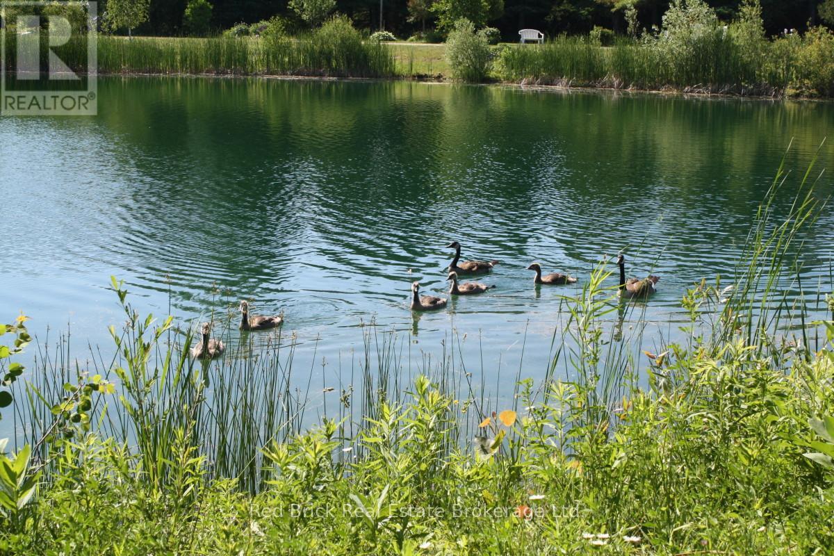 6 Lane Street, Centre Wellington, Ontario  N1M 2W5 - Photo 28 - X12535674