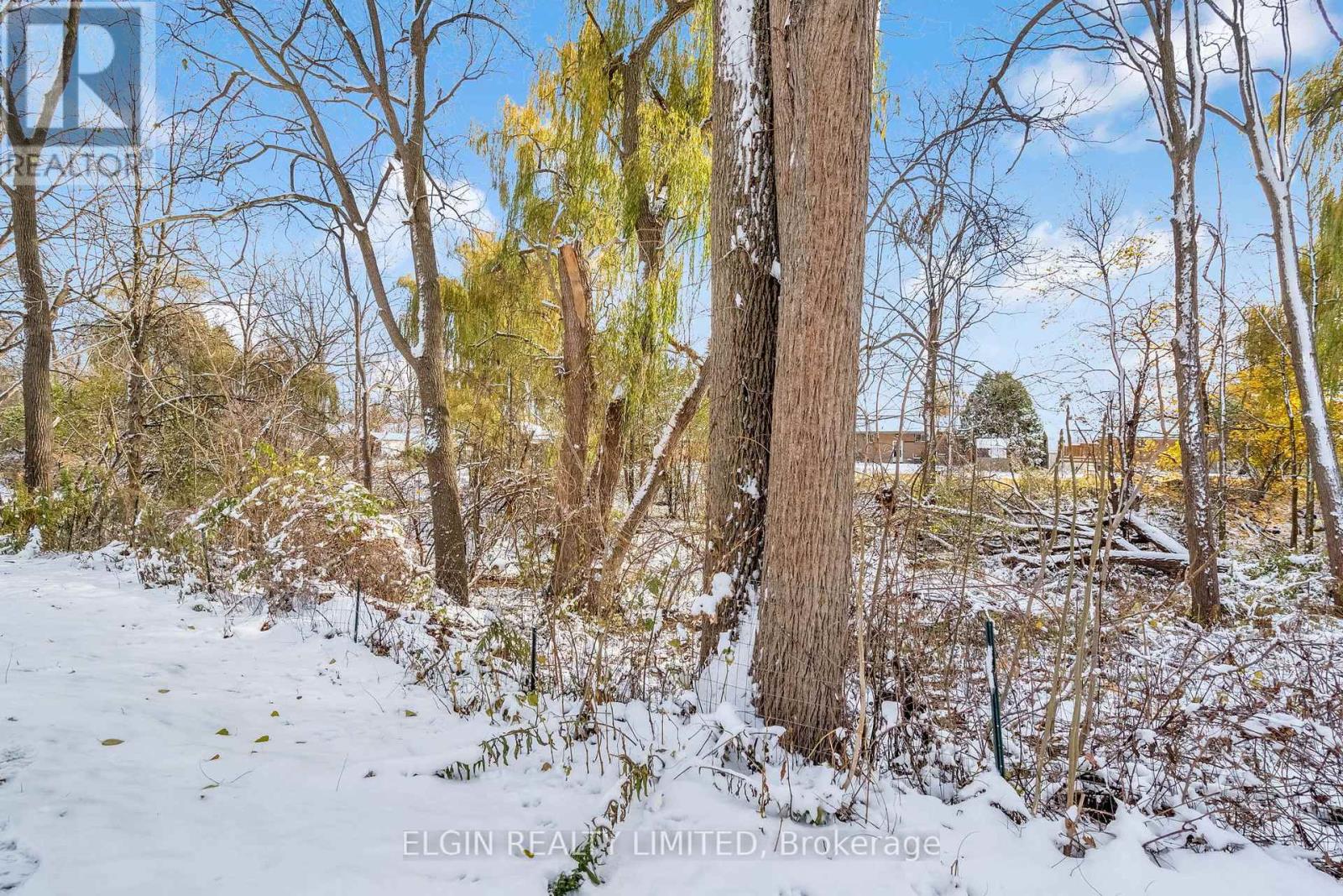 161 Chestnut Street, St. Thomas, Ontario  N5R 2B3 - Photo 43 - X12535672