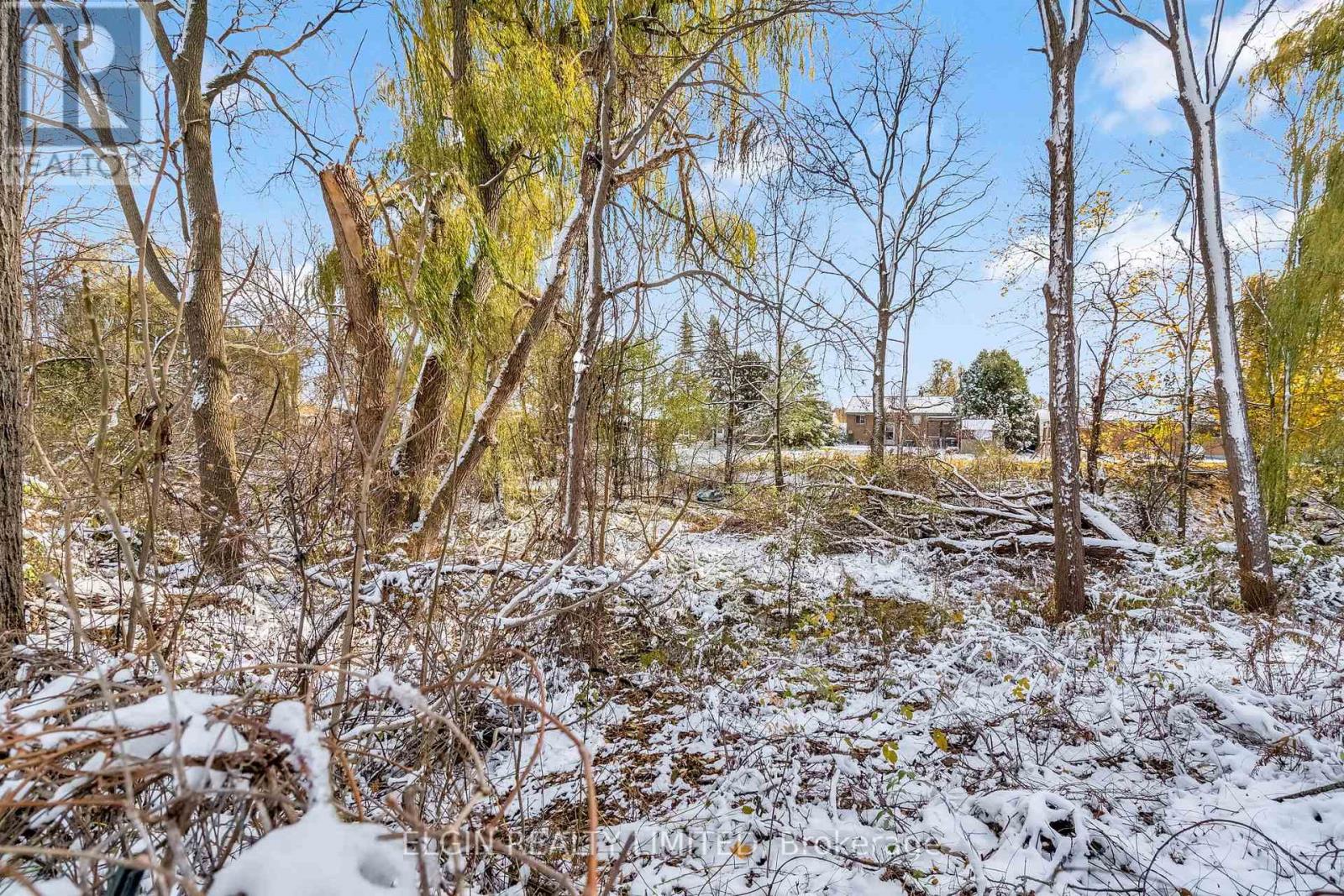 161 Chestnut Street, St. Thomas, Ontario  N5R 2B3 - Photo 44 - X12535672