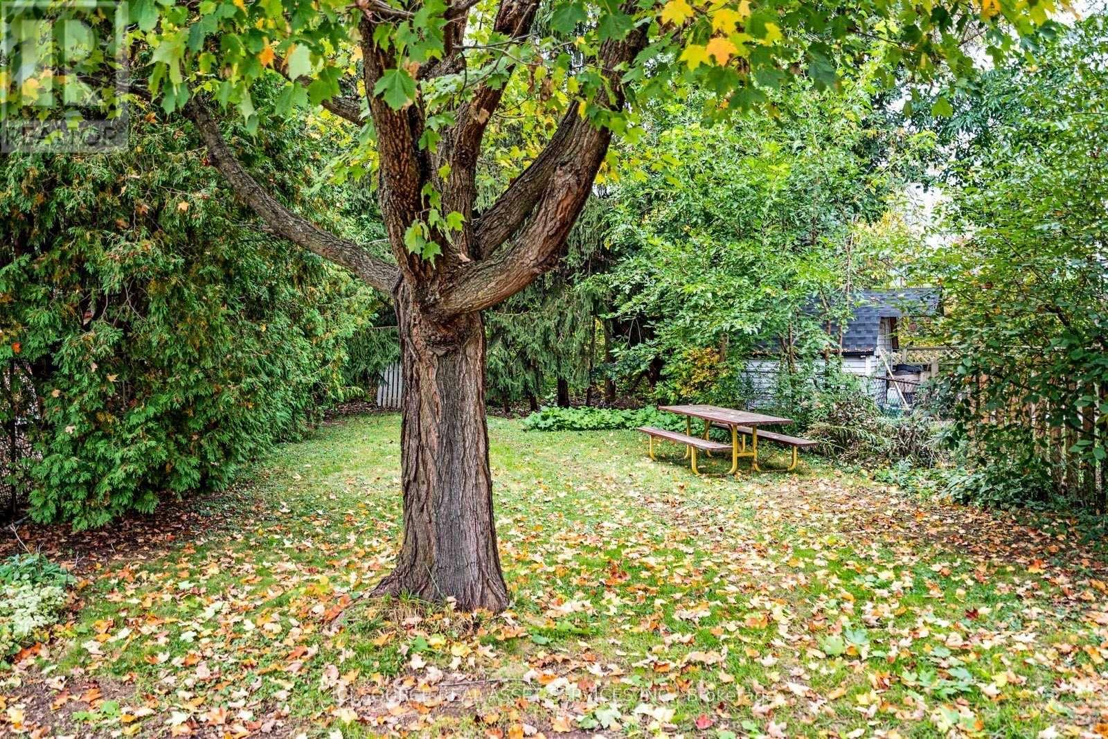 Bsmt - 411 Enfield Road, Burlington, Ontario  L7T 2X5 - Photo 10 - W12535686