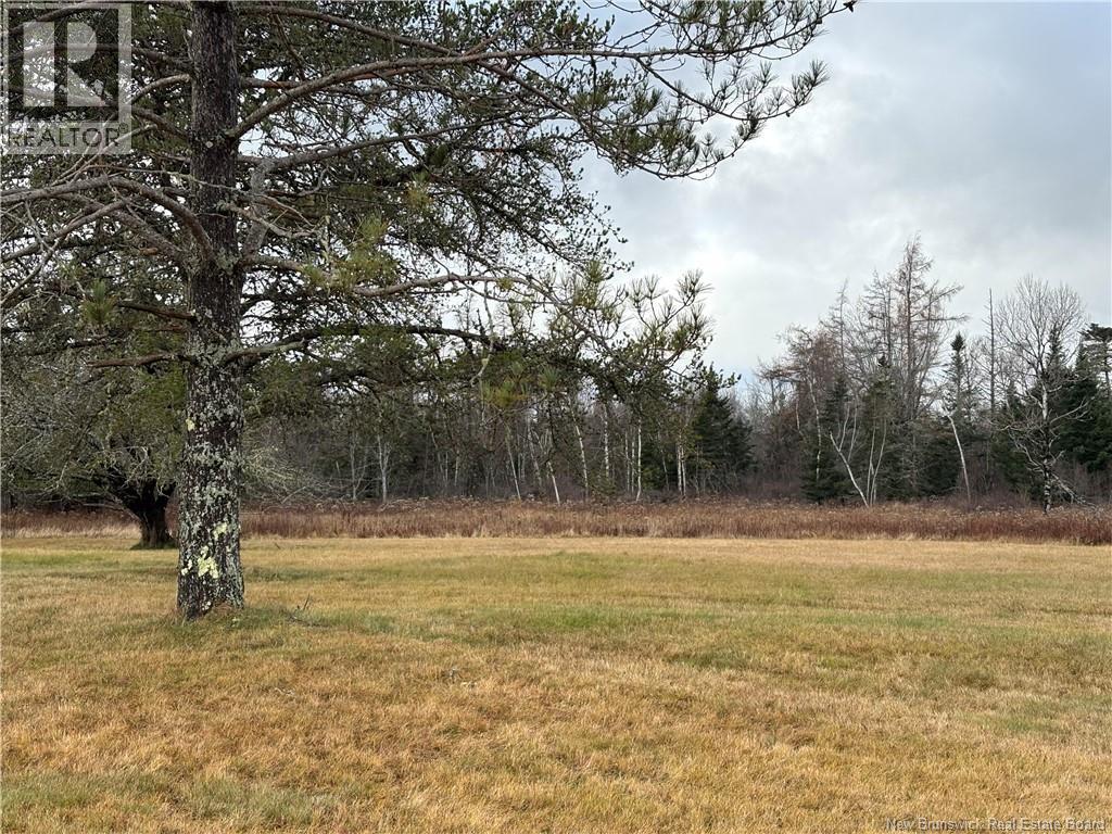 177 Manor Rd, St George, New Brunswick  E5C 1M1 - Photo 3 - NB129985