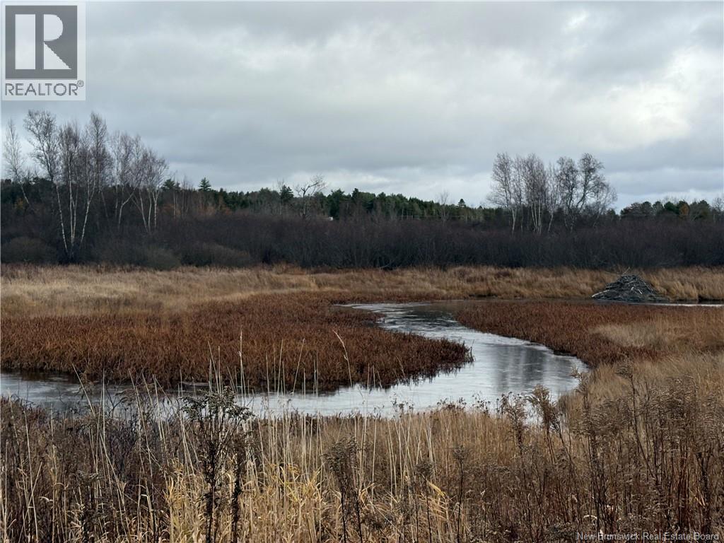 177 Manor Rd, St George, New Brunswick  E5C 1M1 - Photo 4 - NB129985