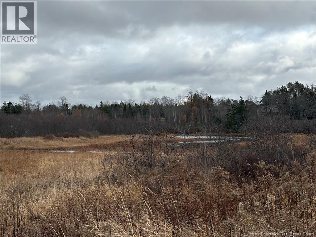 177 Manor Rd, St George, New Brunswick  E5C 1M1 - Photo 5 - NB129985