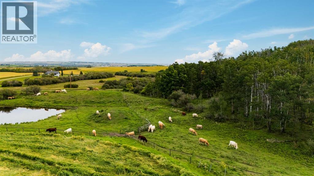 402 Avenue, Rural Foothills County, Alberta