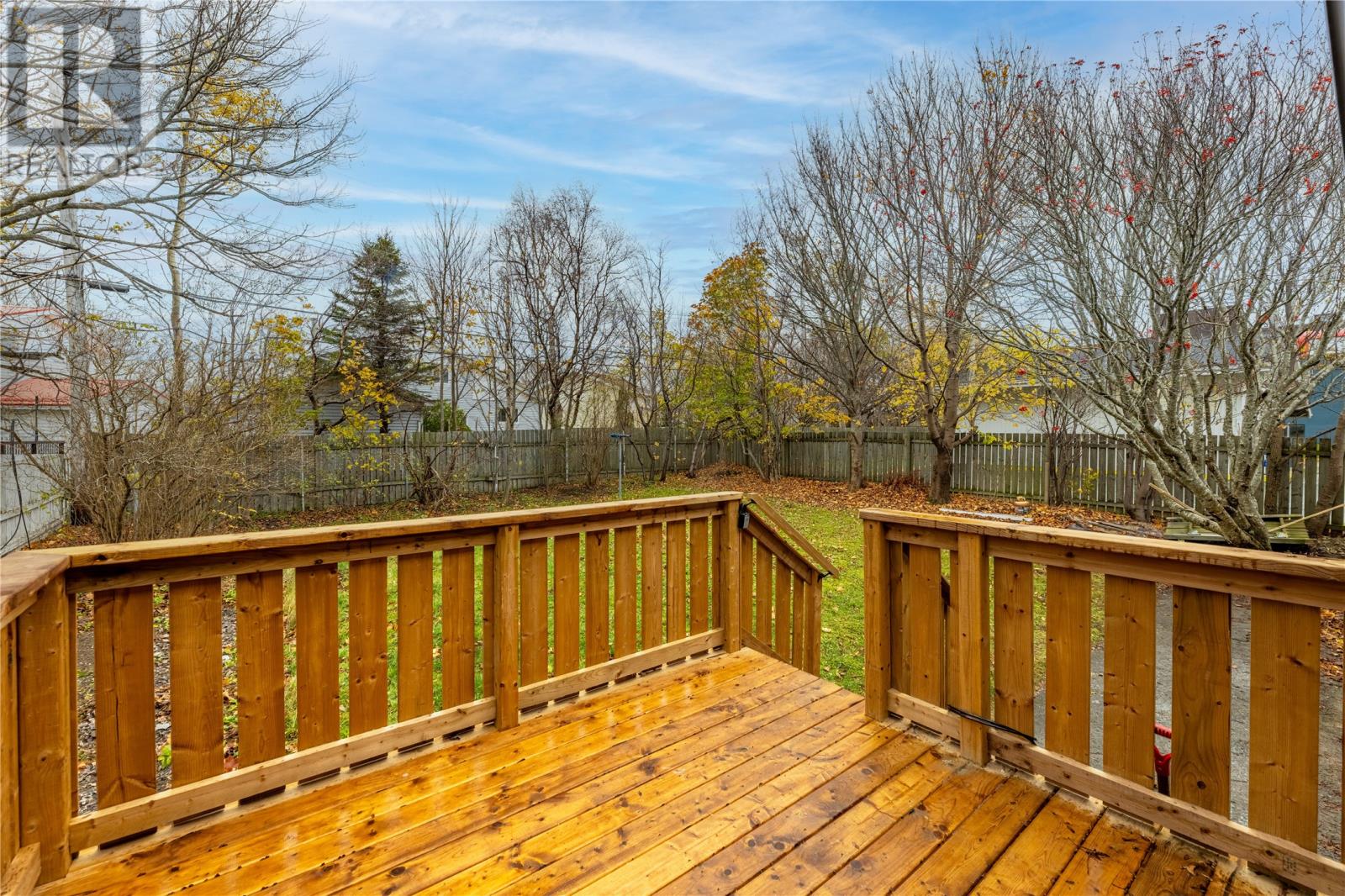 50 Torbay Road, St. John's, Newfoundland & Labrador   - Photo 9 - 1292189