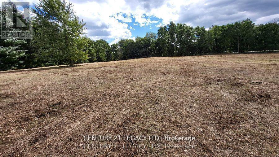 1278 Hwy 5 W, Hamilton, Ontario  L9H 5E1 - Photo 10 - X12535724