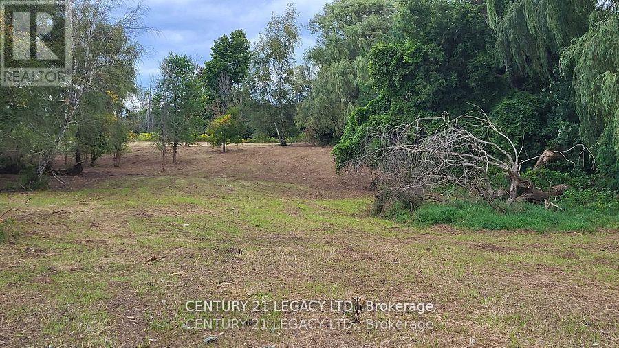 1278 Hwy 5 W, Hamilton, Ontario  L9H 5E1 - Photo 11 - X12535724