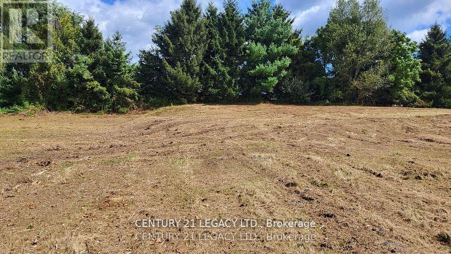 1278 Hwy 5 W, Hamilton, Ontario  L9H 5E1 - Photo 18 - X12535724