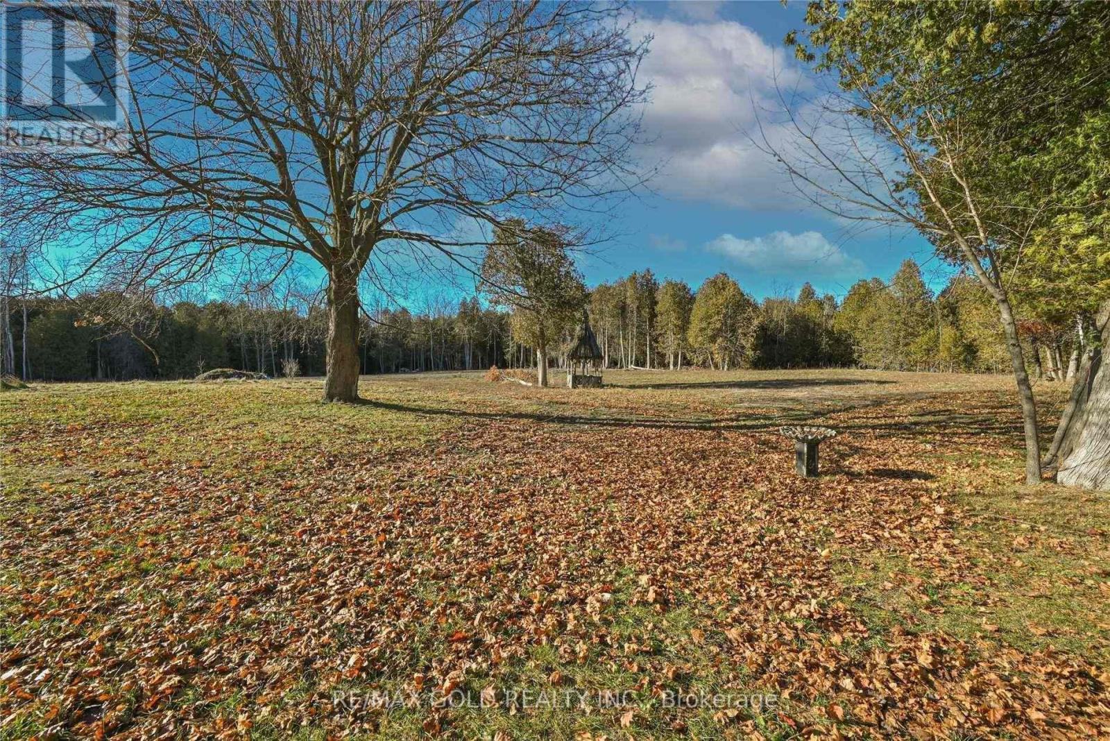 244 Main Street S, Halton Hills, Ontario L7J 1Y2 - Photo 18 - W12523284