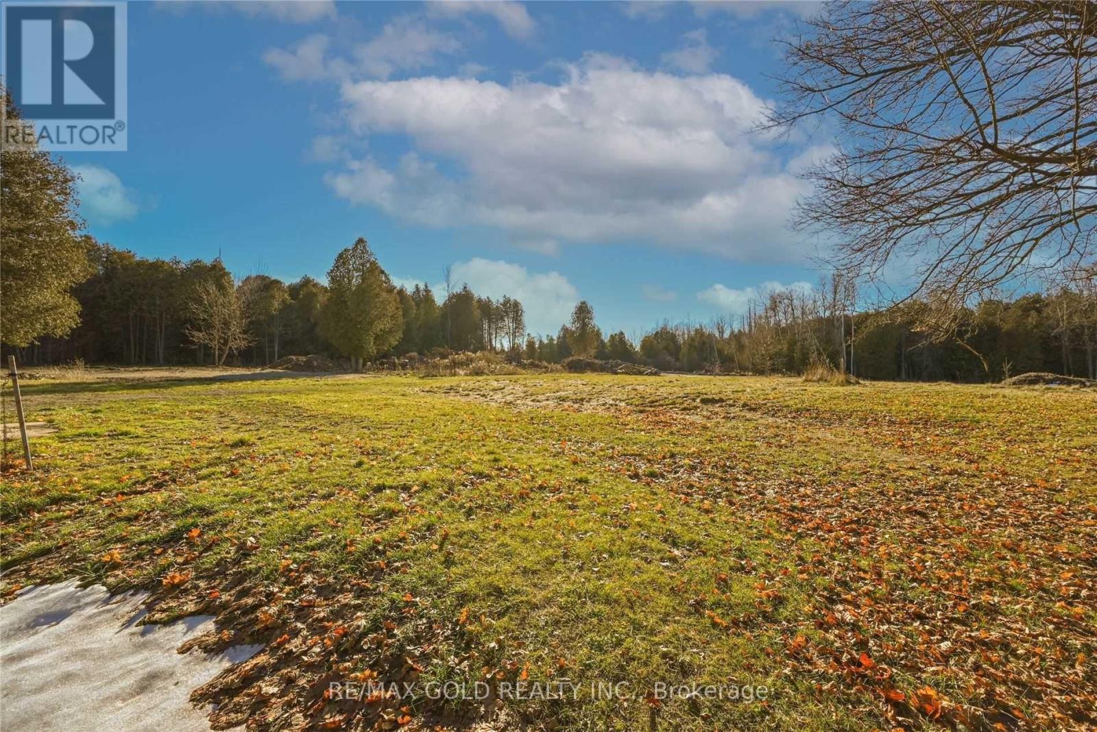 244 Main Street S, Halton Hills, Ontario L7J 1Y2 - Photo 17 - W12523284