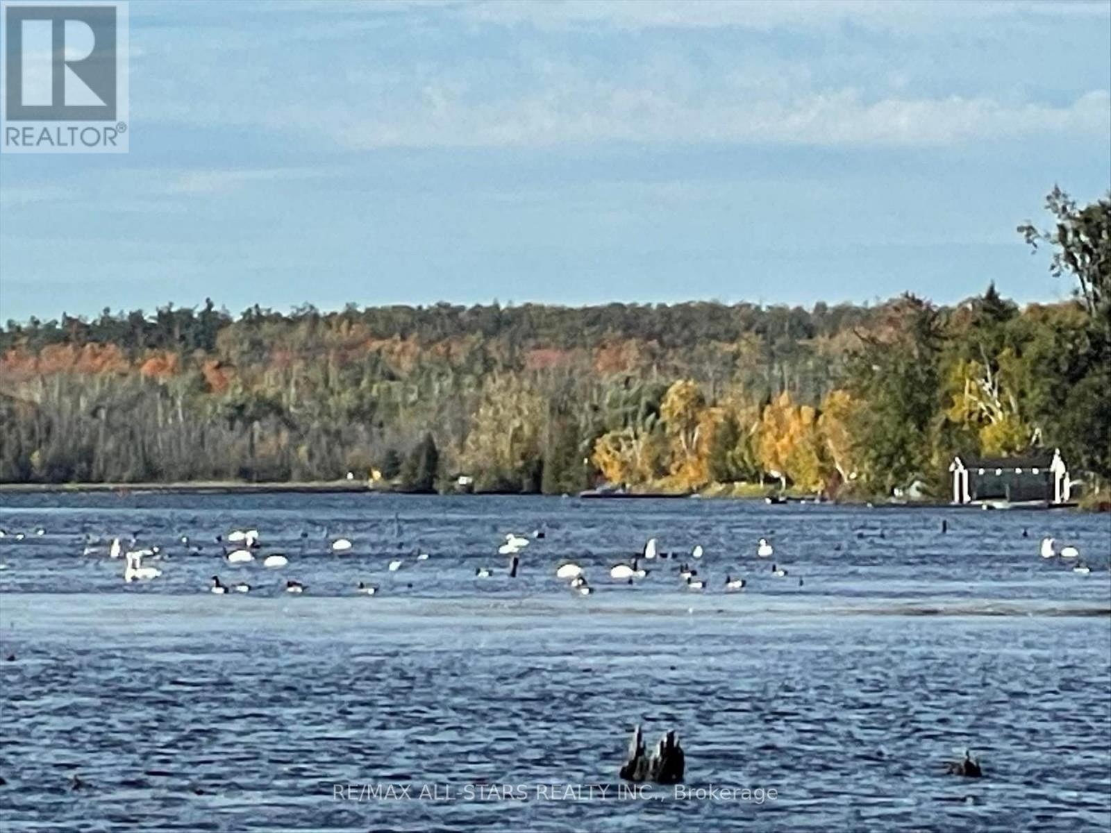 32 Hargrave Road, Kawartha Lakes, Ontario K0M 2B0 - Photo 40 - X12535800