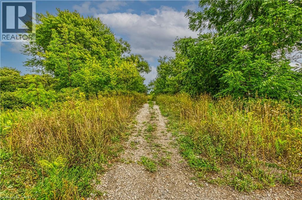 60b Talbot Road, Canfield, Ontario N0A 1C0 - Photo 8 - 40762027