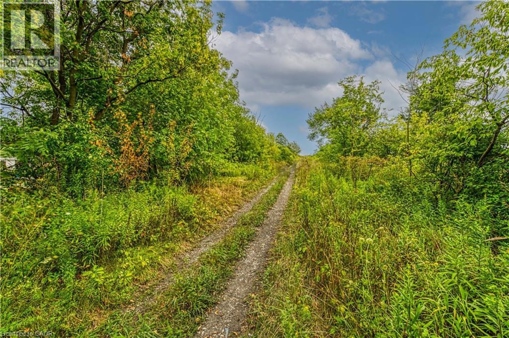 60b Talbot Road, Canfield, Ontario N0A 1C0 - Photo 10 - 40762027