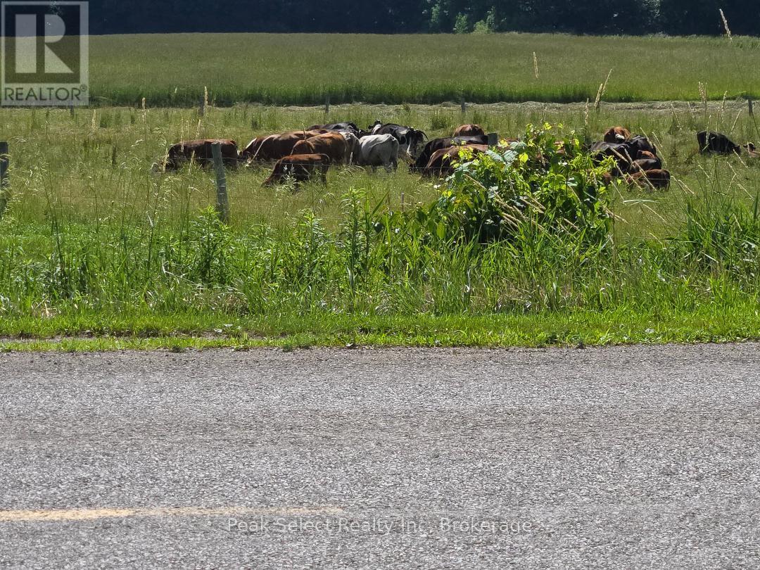 20328 Fairview Road, Thames Centre, Ontario  N0M 2P0 - Photo 26 - X12535862