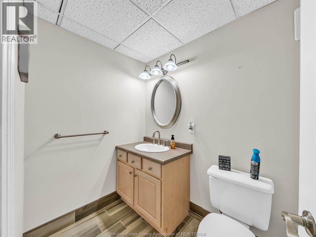 252 Turner, Amherstburg, Ontario N9V 3T3 - Photo 21 - 25025092