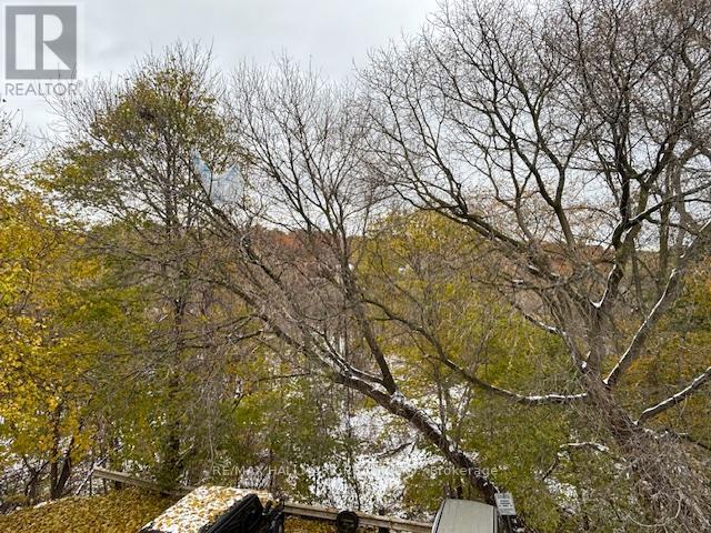 204 - 159 Stephen Drive, Toronto, Ontario  M8Y 3N5 - Photo 10 - W12535814