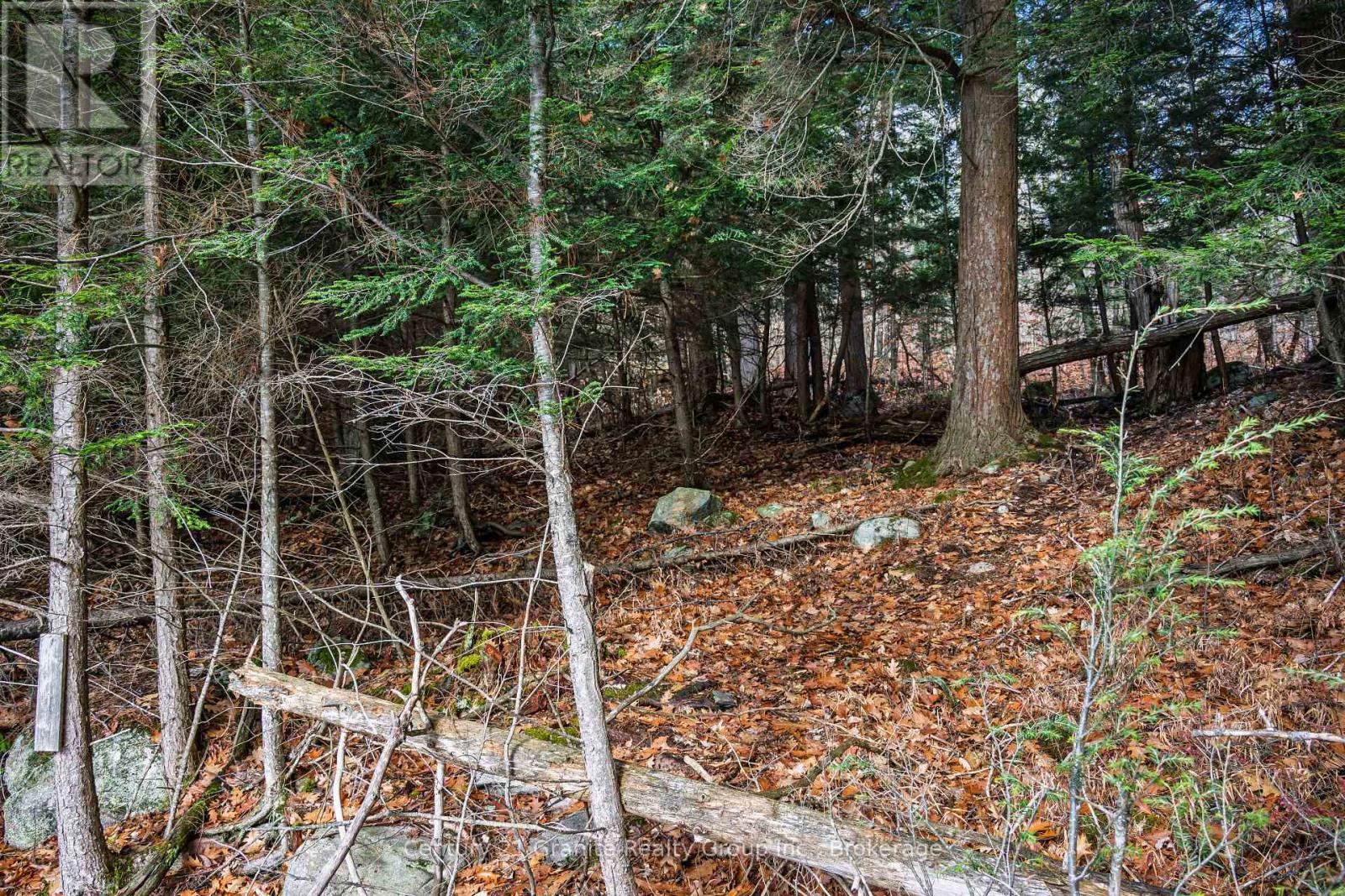 0 Tedious Lake Wao, Dysart Et Al, Ontario  K0M 1S0 - Photo 11 - X12535980