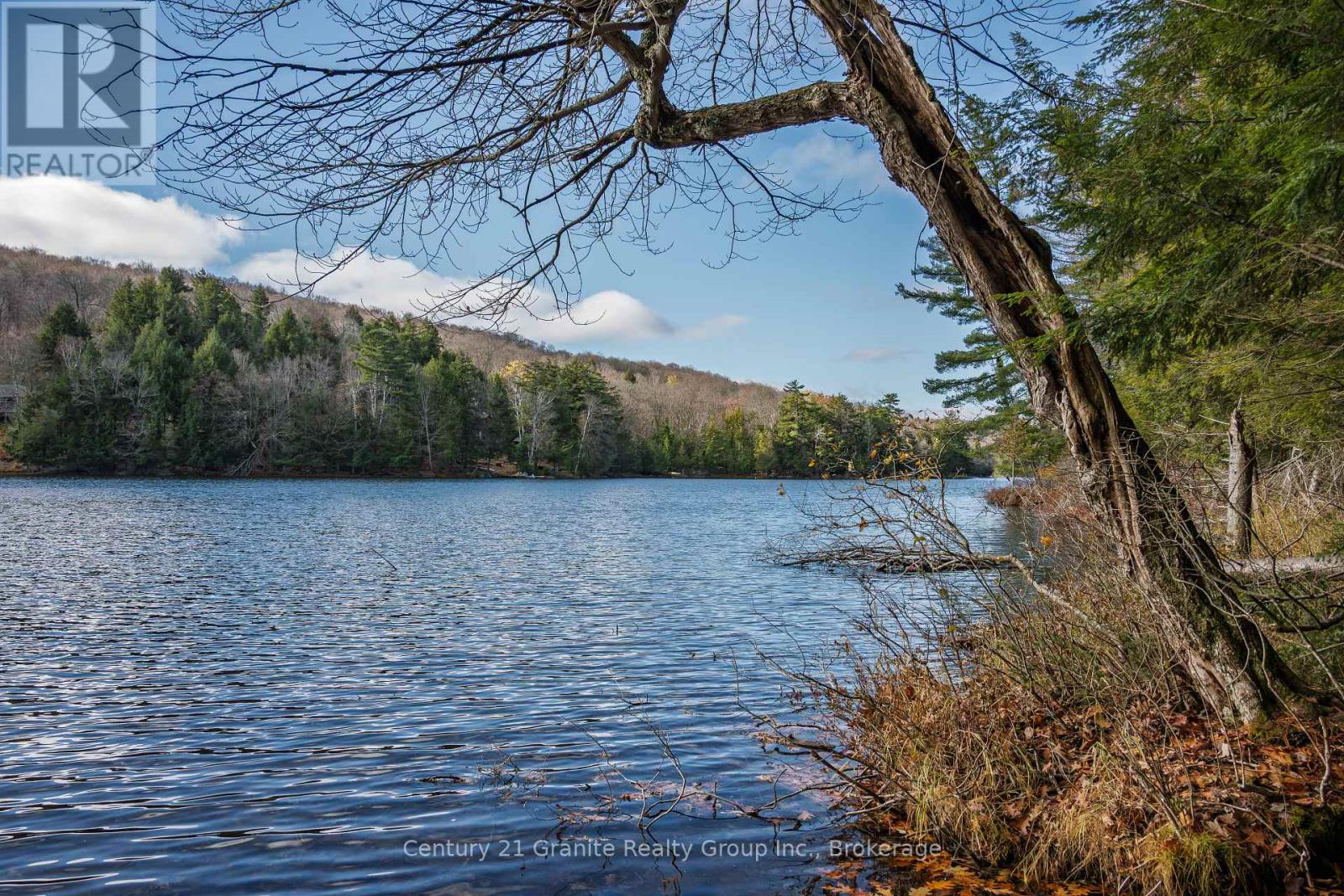 0 Tedious Lake Wao, Dysart Et Al, Ontario  K0M 1S0 - Photo 4 - X12535980