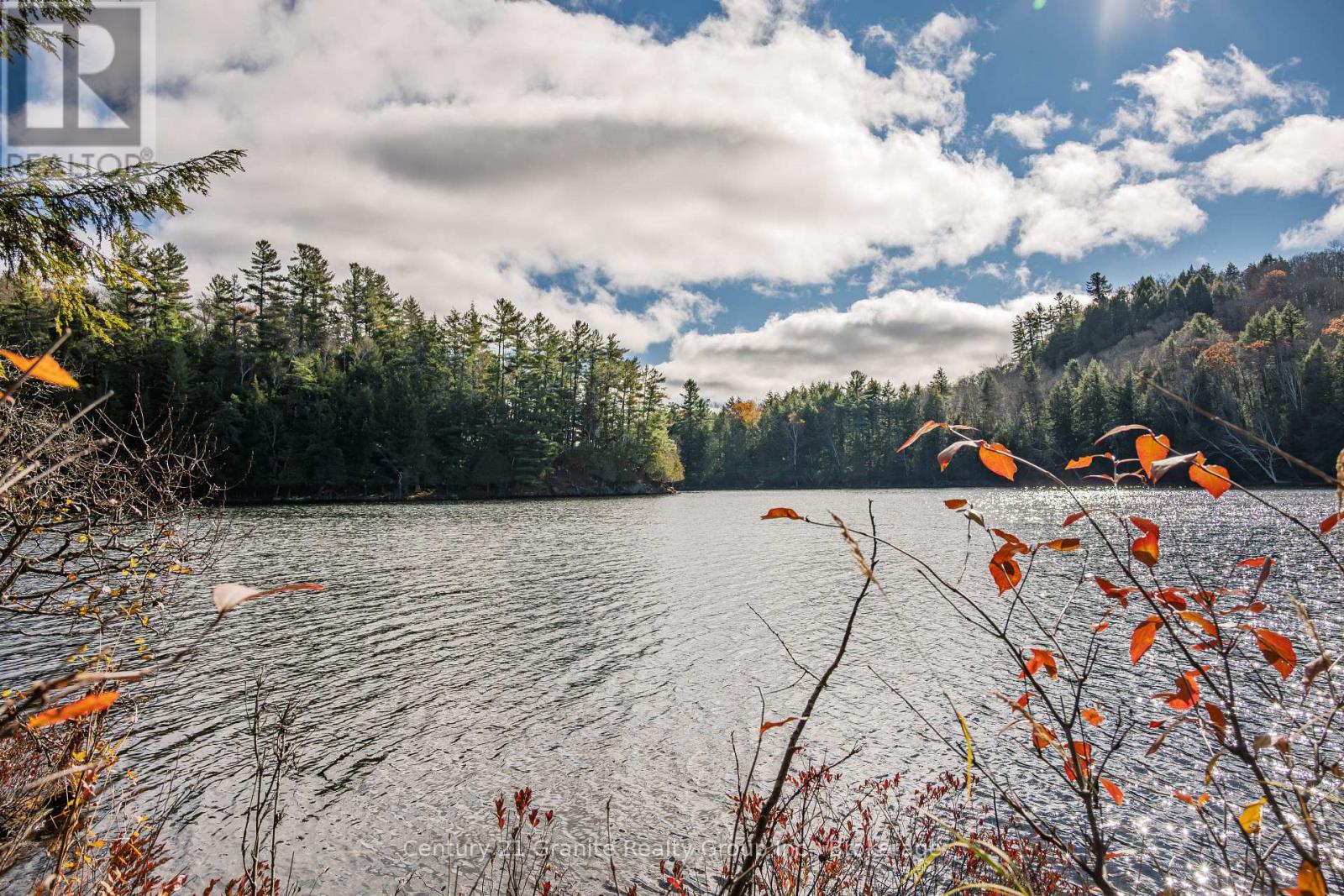 0 Tedious Lake Wao, Dysart Et Al, Ontario  K0M 1S0 - Photo 5 - X12535980
