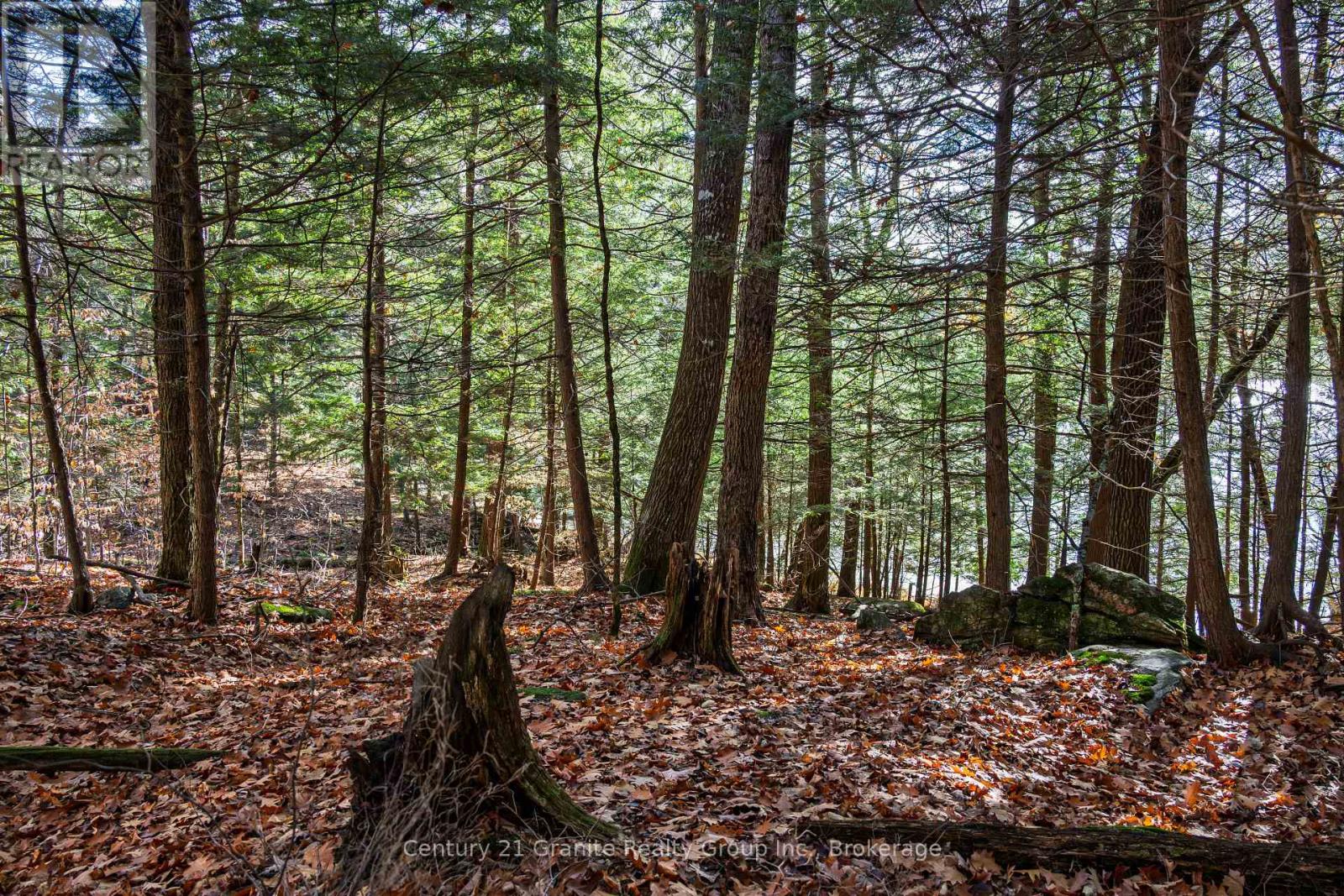0 Tedious Lake Wao, Dysart Et Al, Ontario  K0M 1S0 - Photo 6 - X12535980