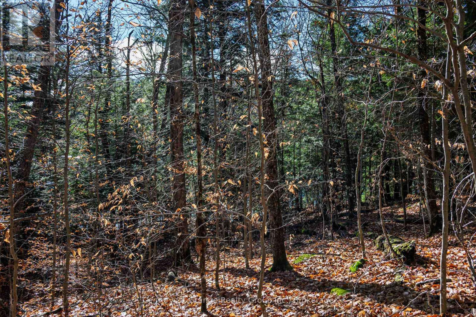 0 Tedious Lake Wao, Dysart Et Al, Ontario  K0M 1S0 - Photo 8 - X12535980