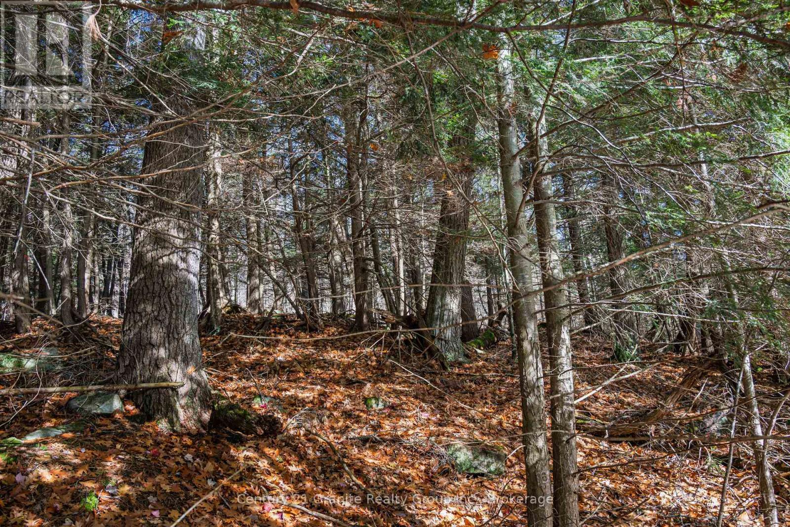 0 Tedious Lake Wao, Dysart Et Al, Ontario  K0M 1S0 - Photo 9 - X12535980