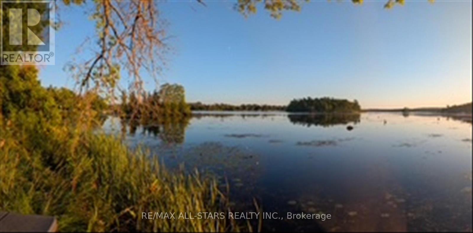 32 Hargrave Road, Kawartha Lakes, Ontario K0M 2B0 - Photo 4 - X12535800