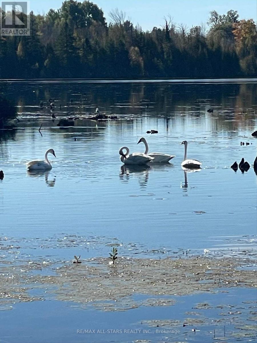 32 Hargrave Road, Kawartha Lakes, Ontario K0M 2B0 - Photo 38 - X12535800