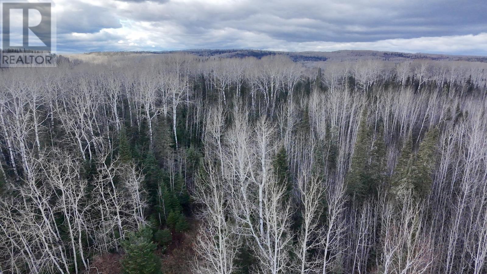 1471 Hwy 608, Thunder Bay, Ontario P7C 4V2 - Photo 4 - TB253438