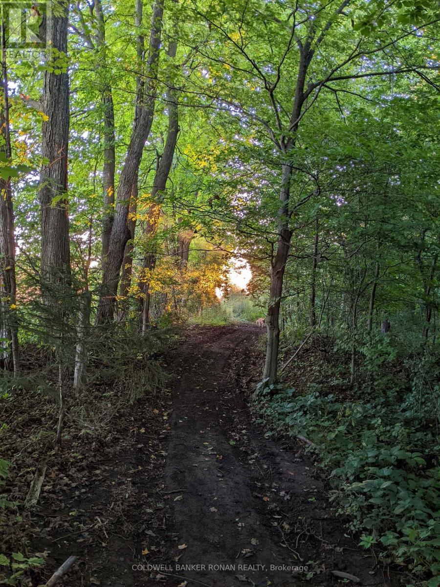 2329 Concession Rd 8, Adjala-Tosorontio, Ontario  L0G 1W0 - Photo 26 - N12373591