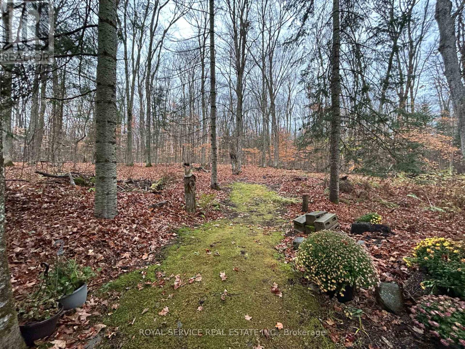 1039 Grace River Road, Highlands East, Ontario  K0L 3C0 - Photo 33 - X12536296