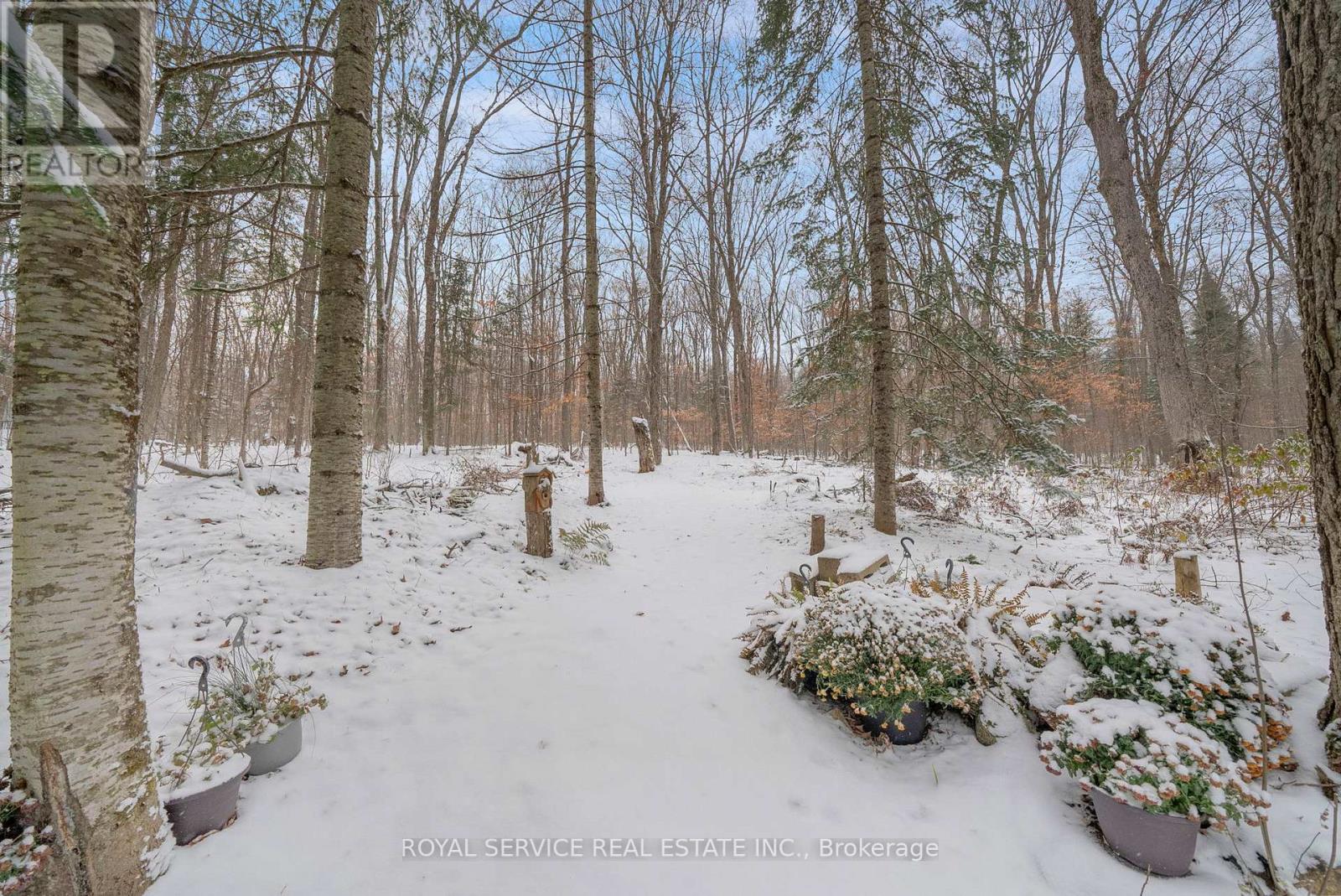 1039 Grace River Road, Highlands East, Ontario  K0L 3C0 - Photo 34 - X12536296