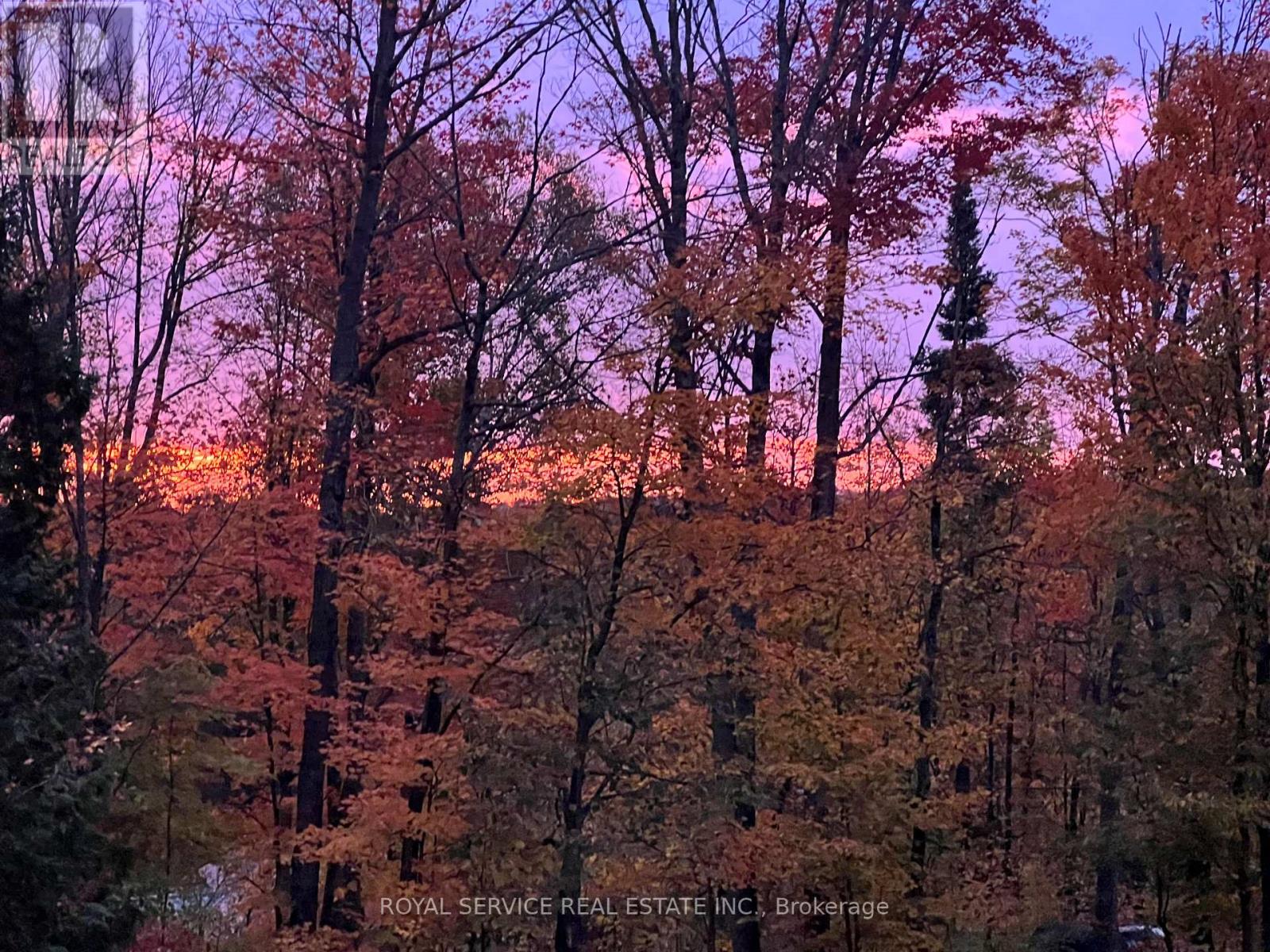 1039 Grace River Road, Highlands East, Ontario  K0L 3C0 - Photo 39 - X12536296