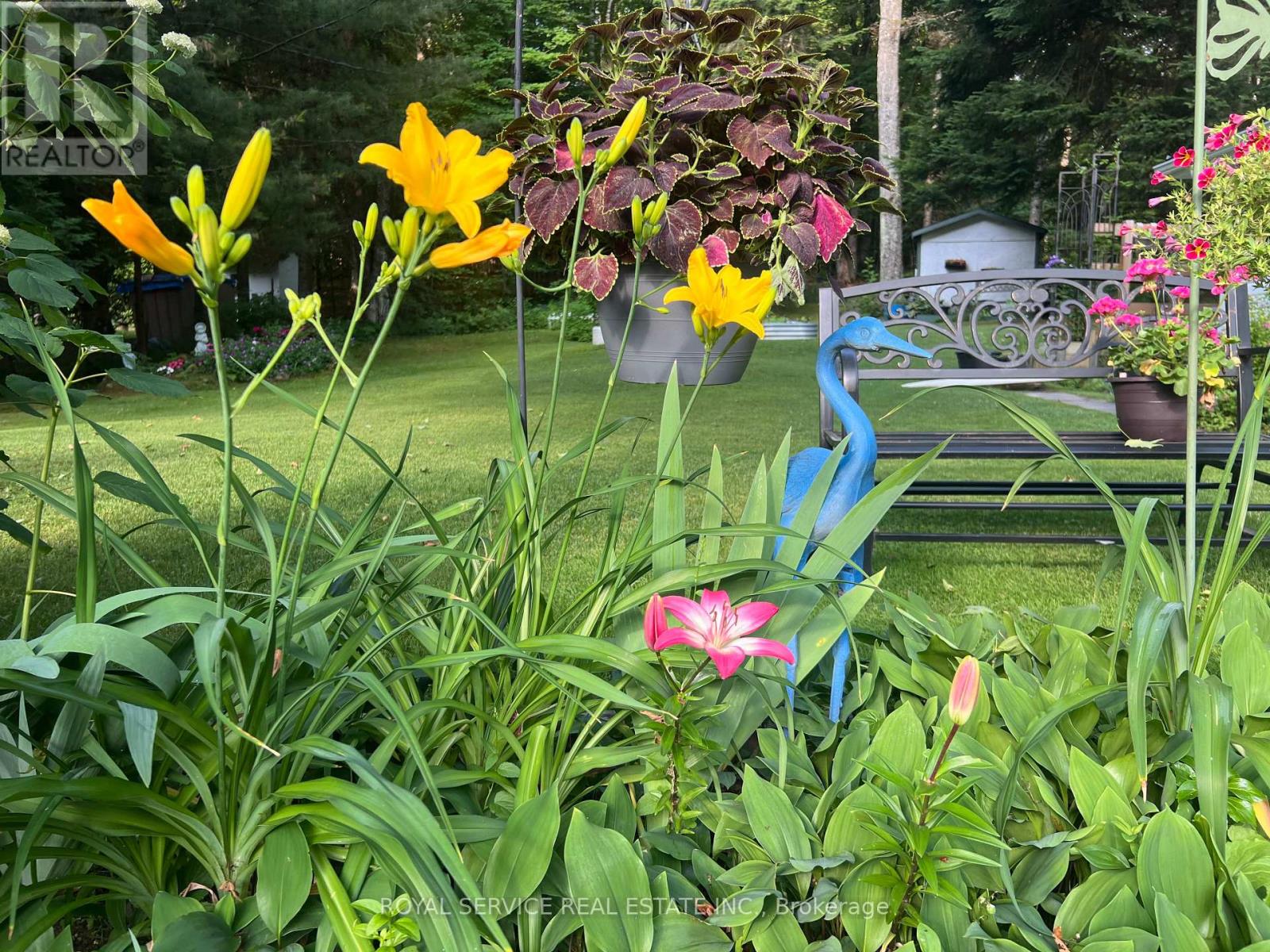 1039 Grace River Road, Highlands East, Ontario  K0L 3C0 - Photo 4 - X12536296