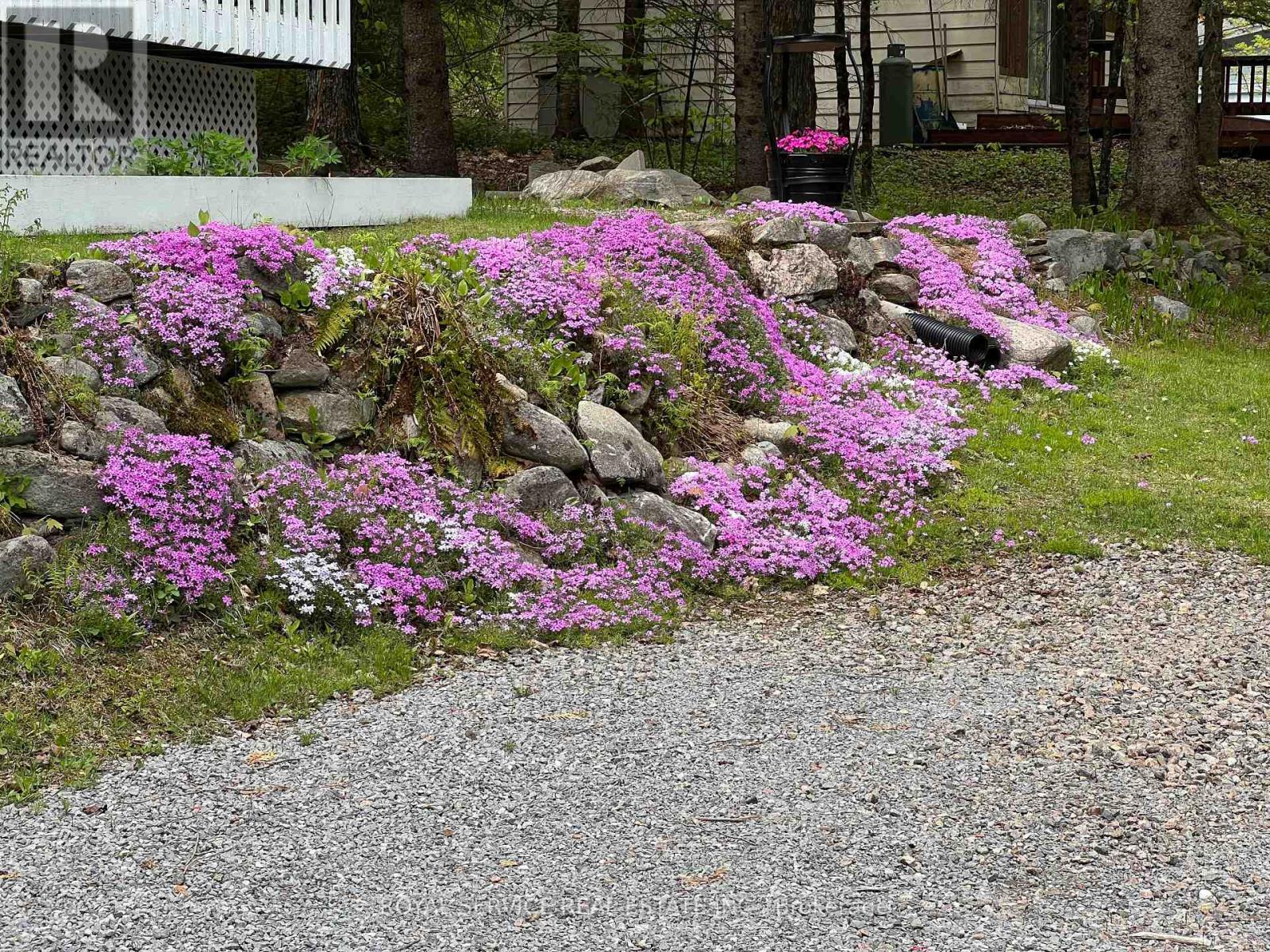 1039 Grace River Road, Highlands East, Ontario  K0L 3C0 - Photo 42 - X12536296