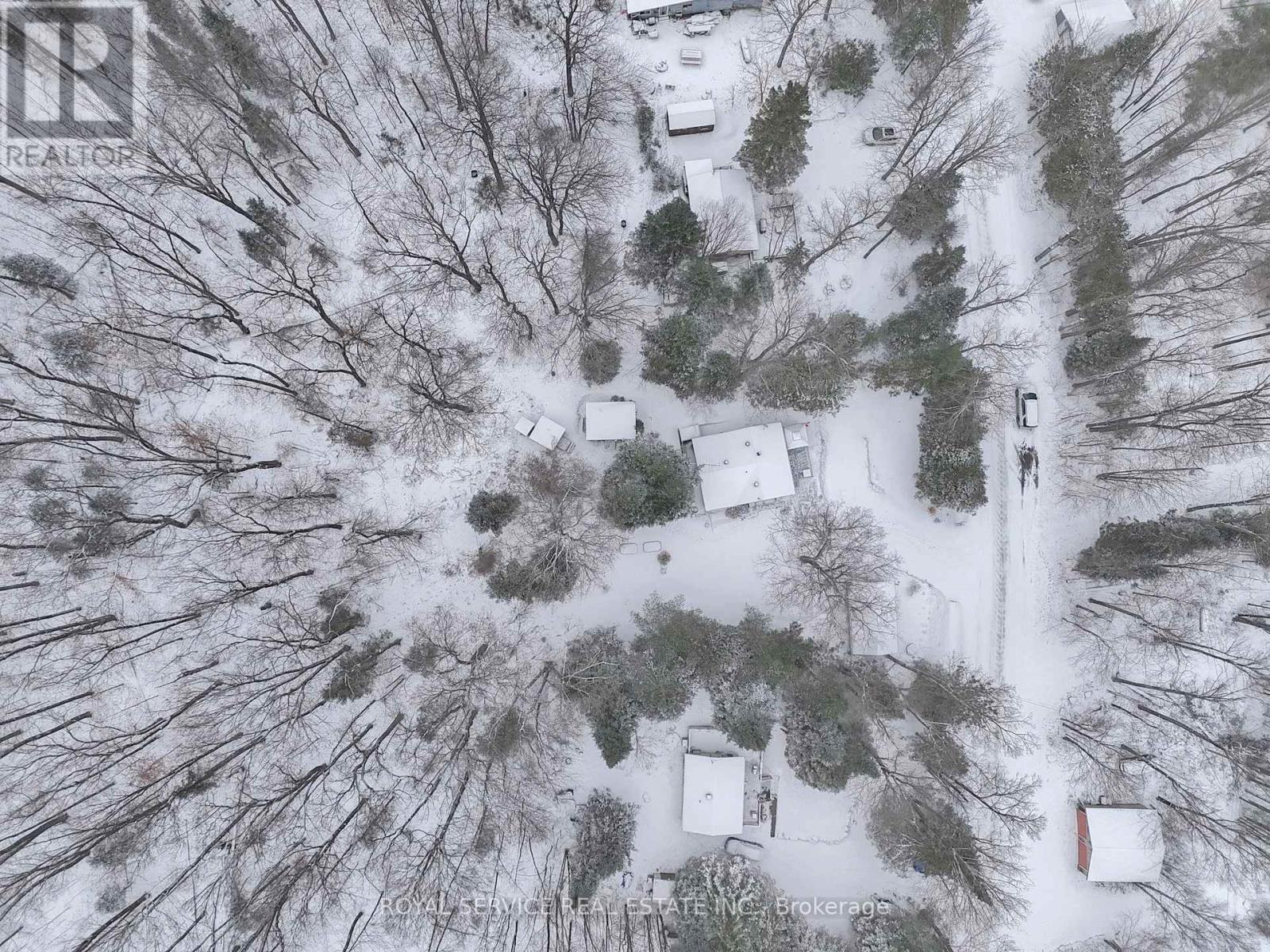 1039 Grace River Road, Highlands East, Ontario  K0L 3C0 - Photo 5 - X12536296