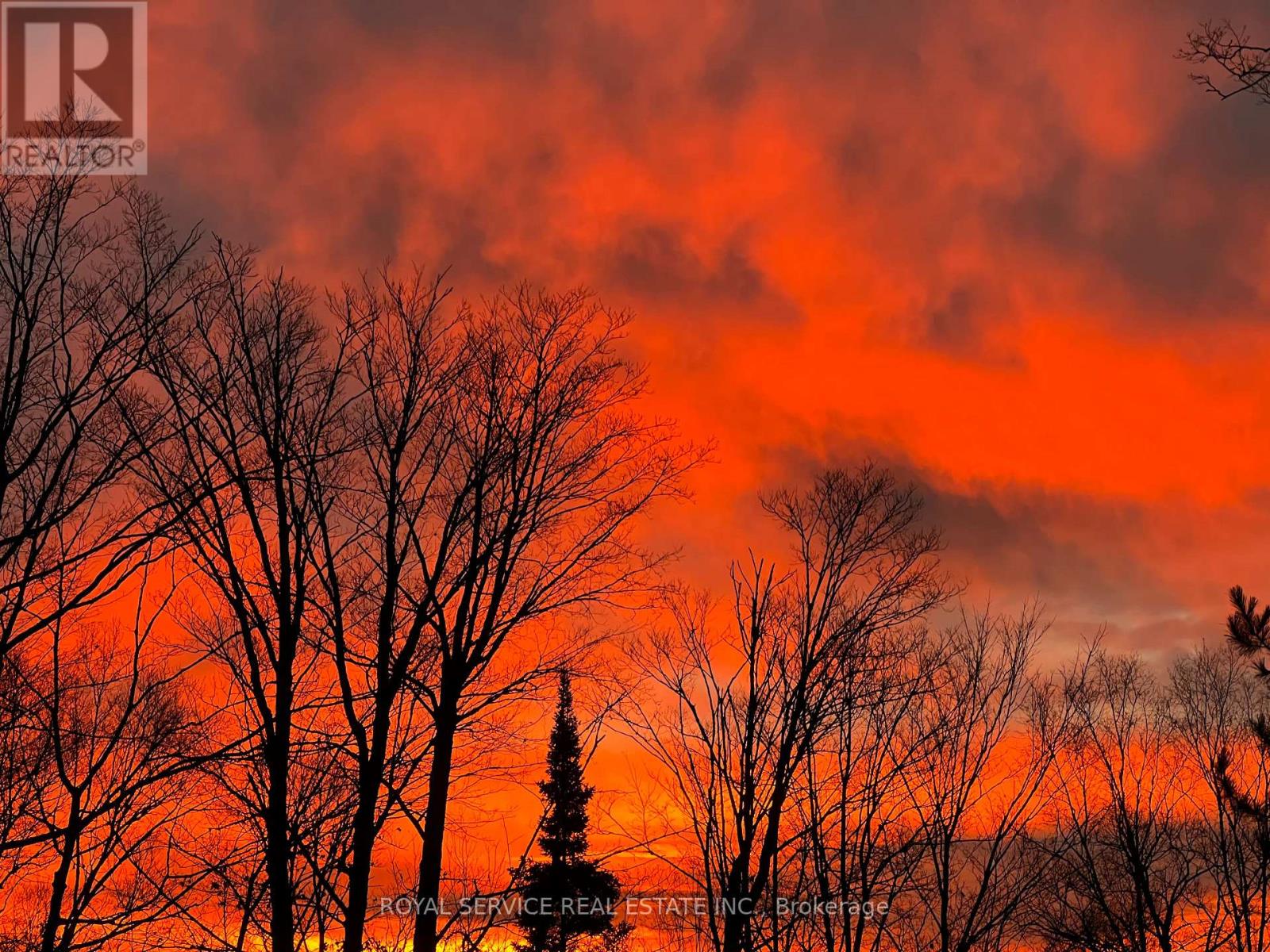 1039 Grace River Road, Highlands East, Ontario  K0L 3C0 - Photo 7 - X12536296