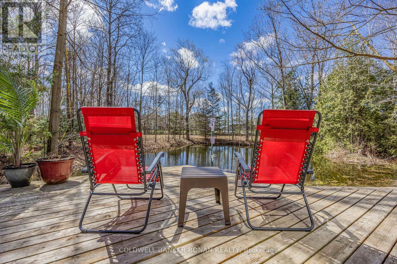 2329 Concession Rd 8, Adjala-Tosorontio, Ontario  L0G 1W0 - Photo 22 - N12373588