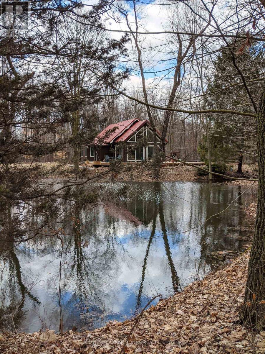 2329 Concession Rd 8, Adjala-Tosorontio, Ontario  L0G 1W0 - Photo 27 - N12373588