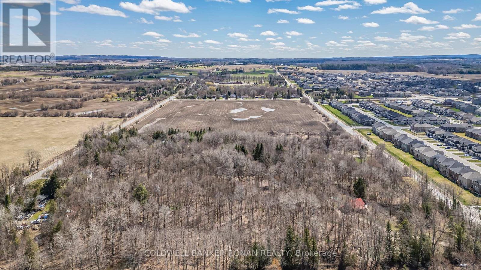 2329 Concession Rd 8, Adjala-Tosorontio, Ontario  L0G 1W0 - Photo 5 - N12373588